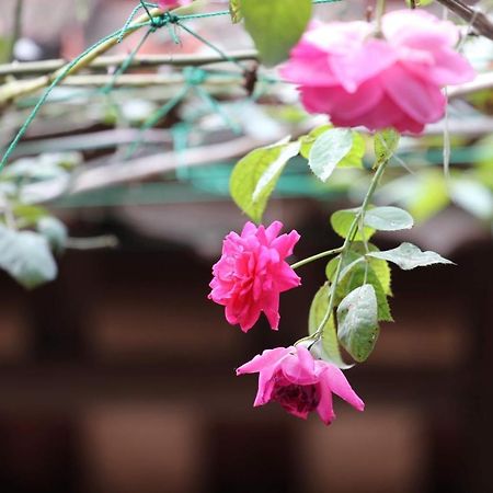 Chicken'S House- Duong Lam Homestay Hanoi Exterior foto