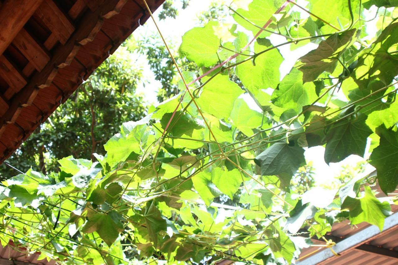 Chicken'S House- Duong Lam Homestay Hanoi Exterior foto